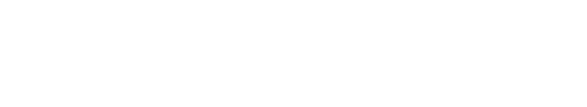 MX Vice